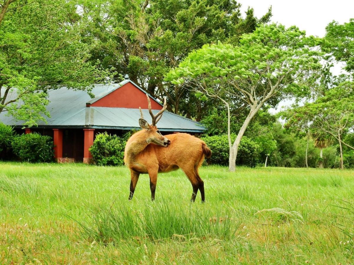 Estancia Ibera Colonia Carlos Pellegrini  Kültér fotó